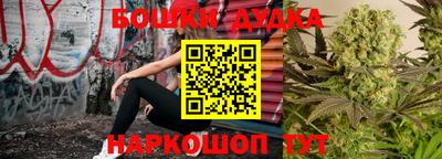 apvp Гусиноозёрск