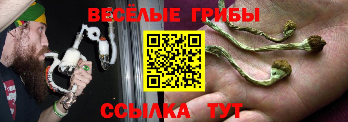 Галлюциногенные грибы GOLDEN TEACHER Обнинск